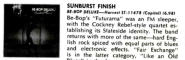 Record World 17 Jan 76