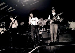 The Occasionals