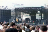 Y & T