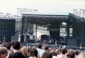 Y & T