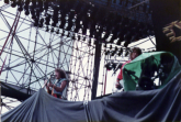 Y & T