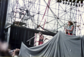 Y & T