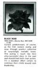 Record World 26 May 79